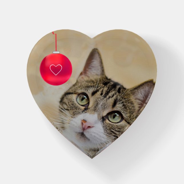 Custom Tabby Cat Photo  Paperweight (Front)