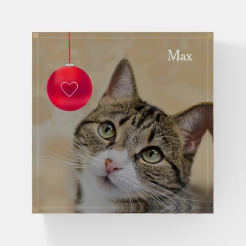 Custom Tabby Cat Photo  Paperweight