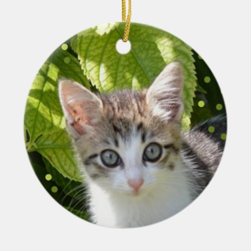 Custom Tabby Kitten Photo Ceramic Ornament