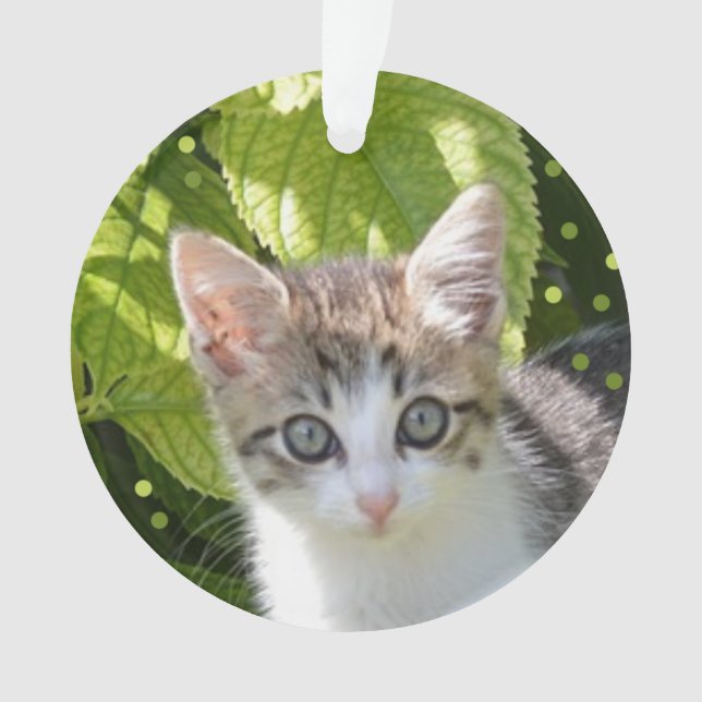 Custom Tabby Kitten Photo Ornament (Front)