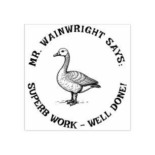 Custom Teacher Goose Stamp Cute “Superb Work!”