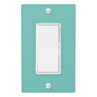 Custom Teal Green Blue Photo Artwork Single Rocker Light Switch Cover