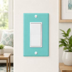 Custom Teal Green Blue Photo Artwork Single Rocker Light Switch Cover