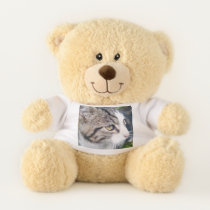 Custom teddy bear gift with personal photo print