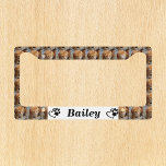 Custom Template Photo Pet Cat Dog License Plate Frame<br><div class="desc">This design may be personalized in the area provided by changing the photo and/or text. Or it can be customized by choosing the click to customize further option and delete or change the color, the background, add text, change the text color or style, or delete the text for an image...</div>