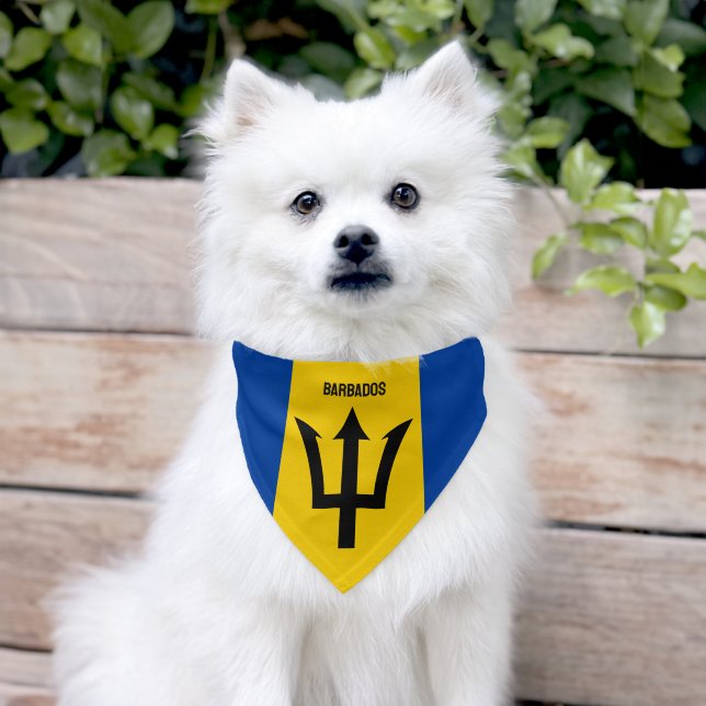 Custom Text Barbados Pet Bandana Collar (Dog)