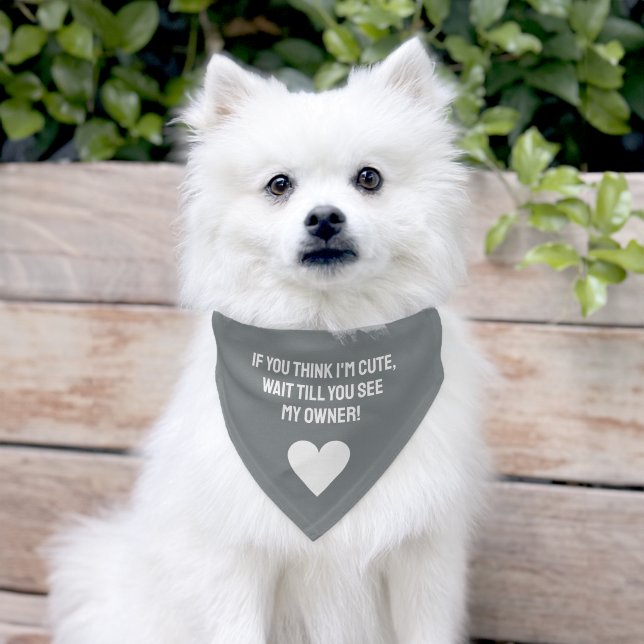 Custom Text & Color Heart Pet Bandana Collar (Dog)