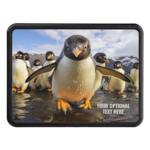 Custom Text Cool Penguins Hitch Cover