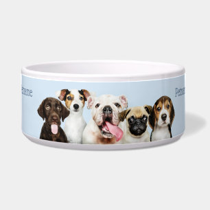 Custom text Cute Puppies Bowl