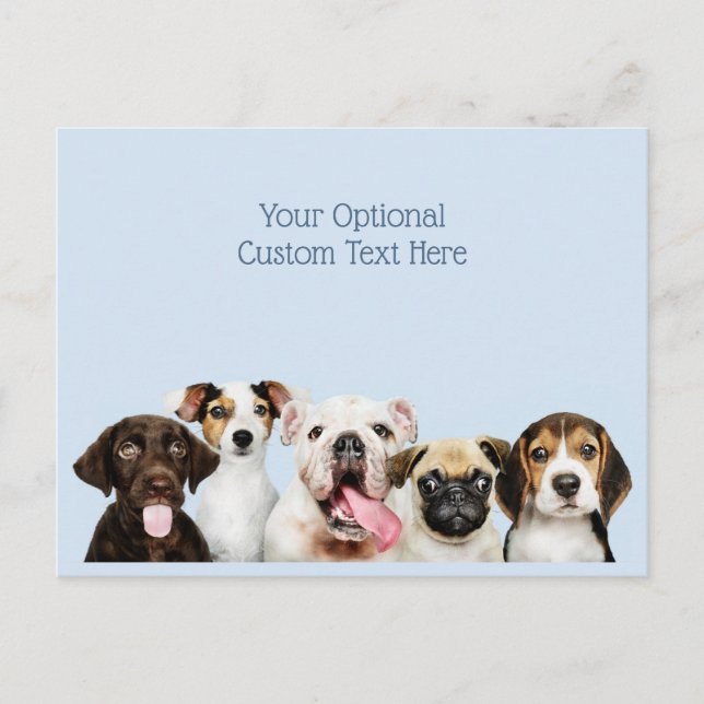 Custom text Cute Puppies Postcard (Front)