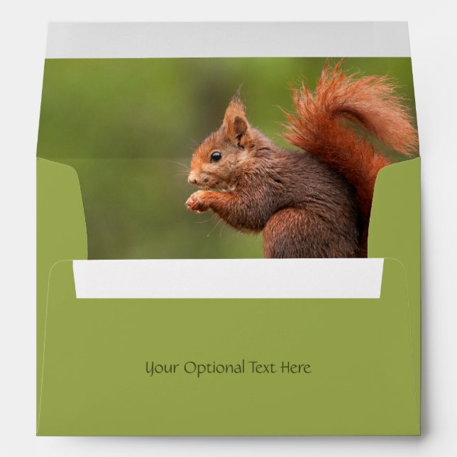 Custom Text Cute Squirrel Envelope (Back (Bottom))