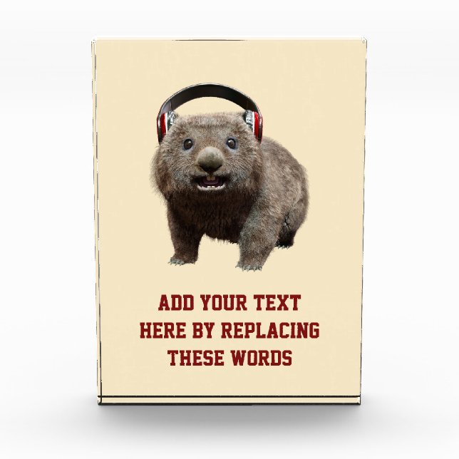 Custom Text Cute Wombat Headphones Acrylic Award (Front)