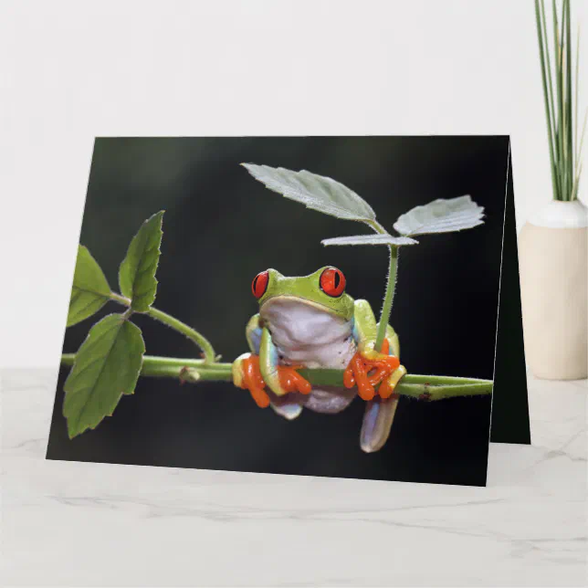 Custom Text Frog Card | Zazzle