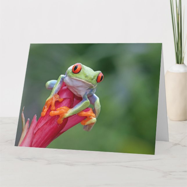 Custom Text Frog Card (Front)