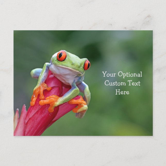 Custom Text Frog Postcard (Front)