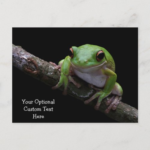 Custom Text Frog Postcard