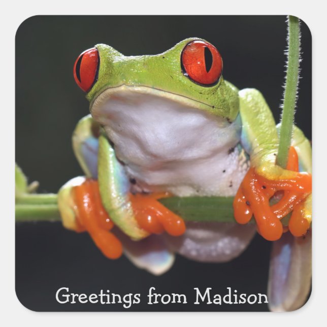Custom text Frog Square Sticker (Front)