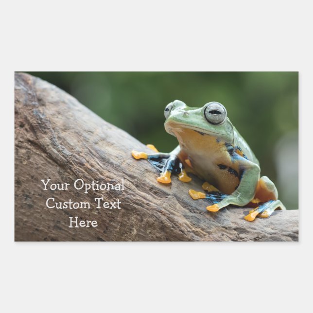Custom Text Frog stickers (Front)
