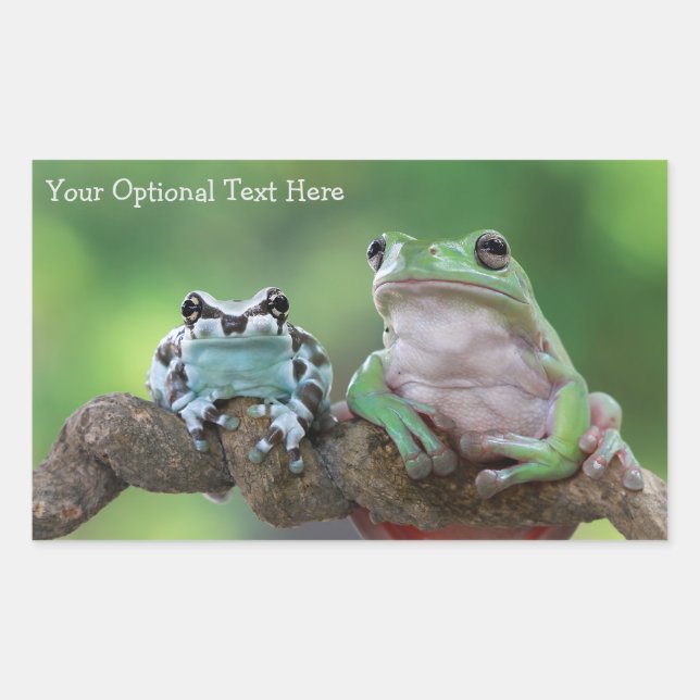 Custom Text Frog stickers (Front)