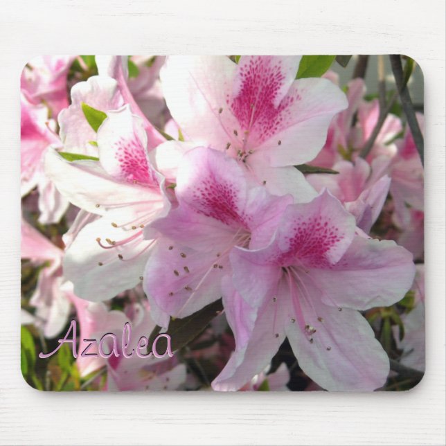 Custom Text Hot Pink Azalea Flower Photo Mousepad (Front)