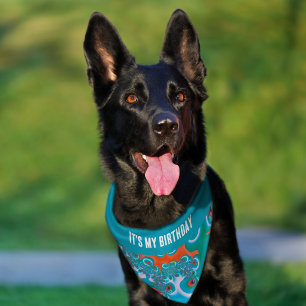 Custom Text It's My Birthday Colorful Spring Pet Bandana Collar
