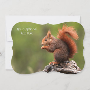 Custom Text Squirrel Card