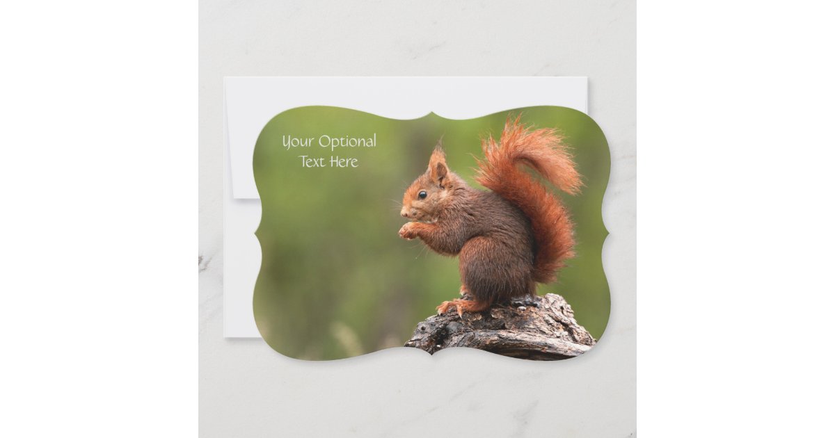 Custom Text Squirrel Card | Zazzle