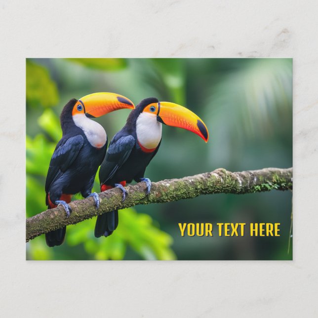 Custom Text Tropical Toucans Postcard (Front)