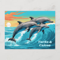 Custom Text Turks and Caicos Dolphin