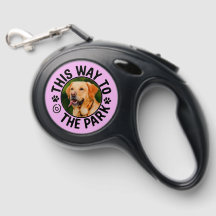 Custom 'This Way to the Park' Dog Leash