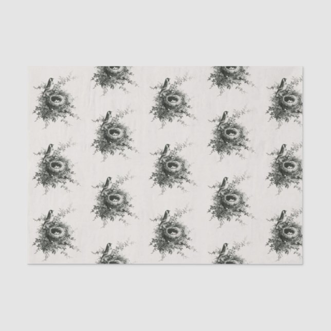 CUSTOM Tissue Paper EGGS IN NEST (Front)