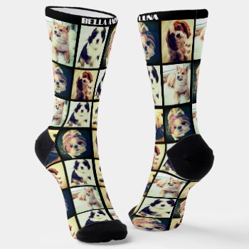 Custom Trendy Pets Collage Socks by CustomizePersonalize at Zazzle
