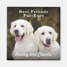 Custom Two Pet Dog Photo Best Friends Fur-Ever Magnet