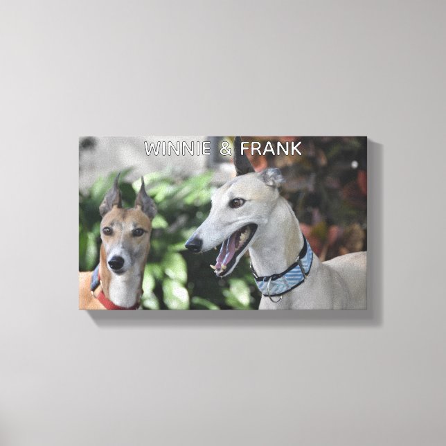 Custom Two Pet Portrait | PRINTABLE Personalized A Canvas Print (Front)