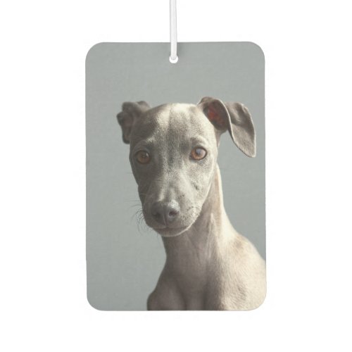 Custom Two_sided Pet Dog Photo Personalized Car Air Freshener