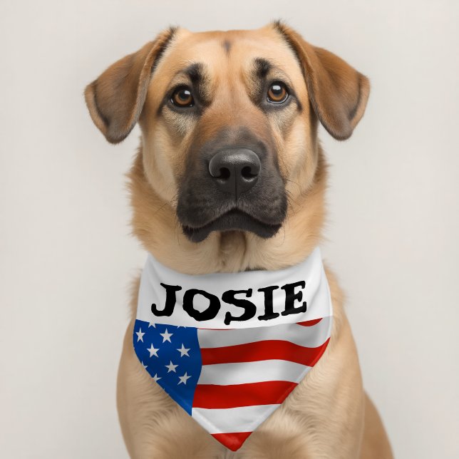 CUSTOM USA FLAG DOG CAT PET BANDANA  COLLAR (Dog 2)