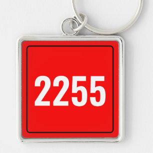 Custom Vehicle Number Plate Keychain