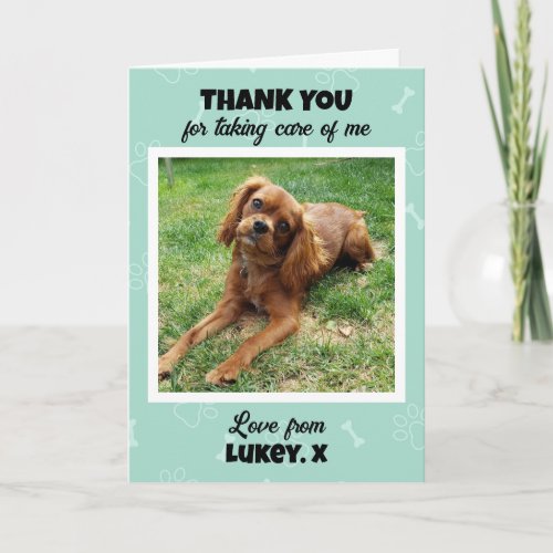 Custom Vet Tech Pet Care Photo Thank You Card