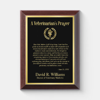 Custom Veterinarian Prayer Frame Vet Tech Graduate Award Plaque
