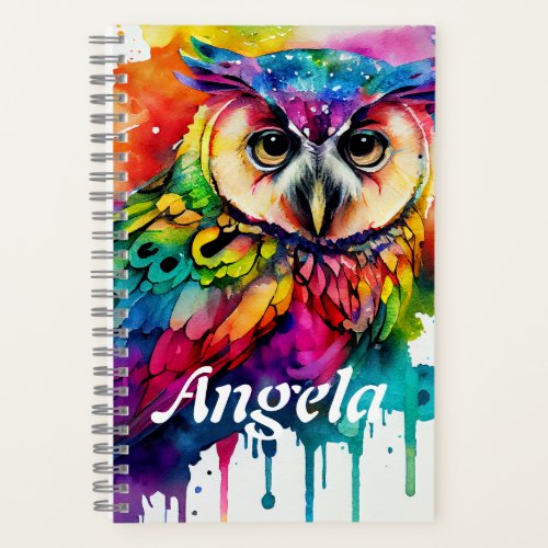 Custom Vibrant Watercolor Owl Notebook