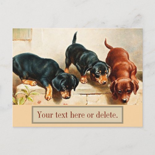 Custom Vintage Retro Funny Cute Dachshund Puppies Postcard
