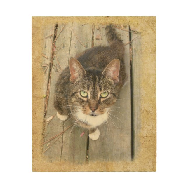 Custom Vintage Wood Frame - vertical Wood Wall Art (Front)