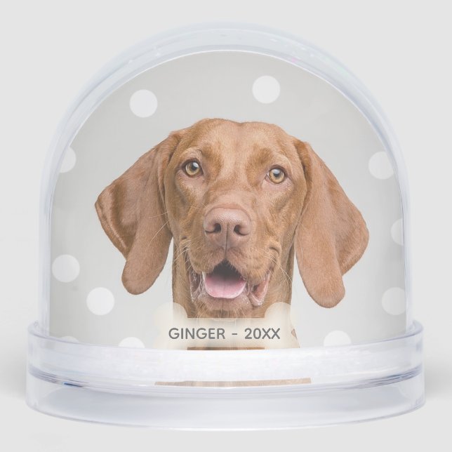 Custom Vizsla Dog Photo Snow Globe (Front)