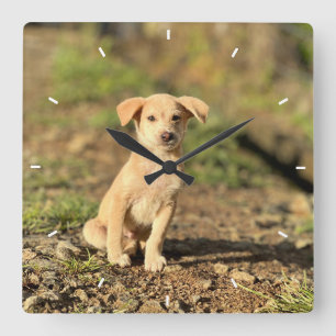 Custom Wall Clock (Add Your Own Photo and/or text)