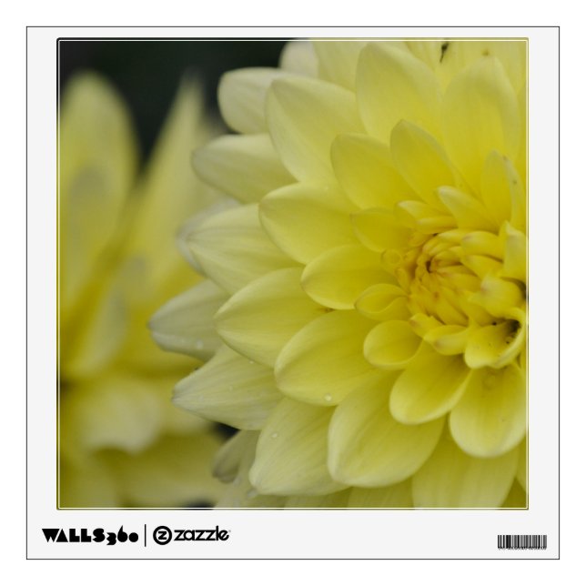 Custom Wall Decal/Flower Wall Decal (Front)