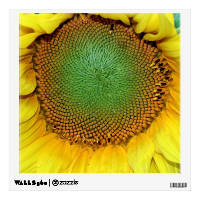 Custom Wall Decal/Sun Flower Decal (Front)