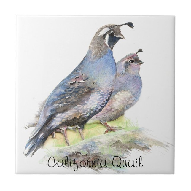 Custom Watercolor California Quail birds Ceramic Tile (Front)