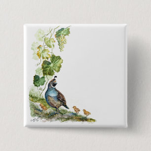 Custom Watercolor California Quail Family Grapes Button