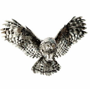 Custom Watercolor Great Grey Owl Bird, Animal Cutout