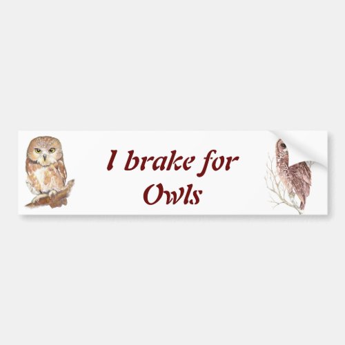 Custom Watercolor Owl Bird Nature Wildlife Bumper Sticker